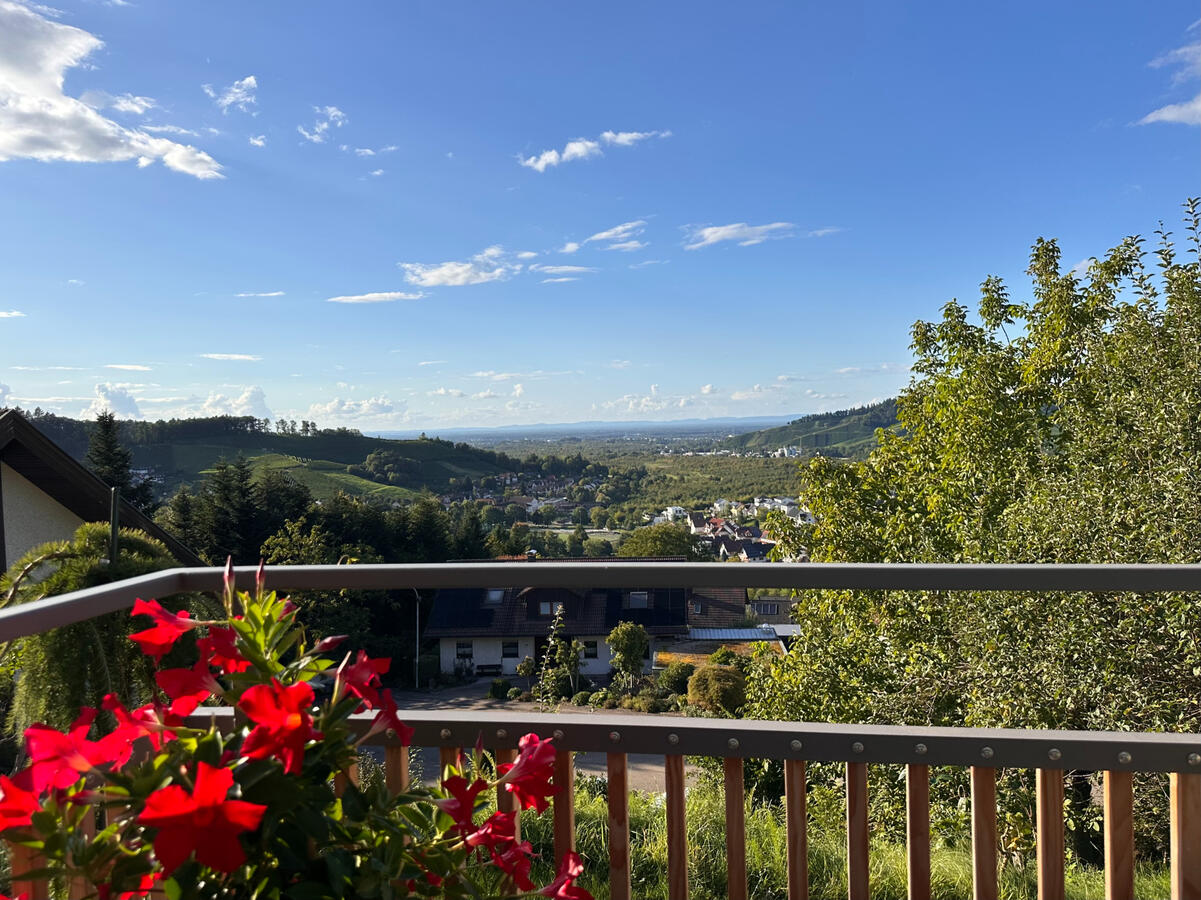 Aussicht vom Loungesofa