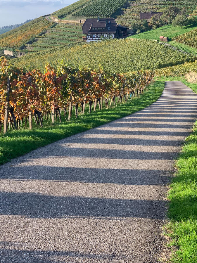 Wanderwege in der Nähe