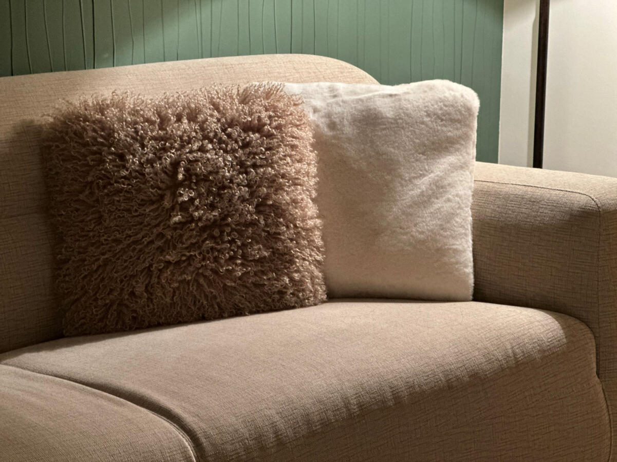 Sofa Details